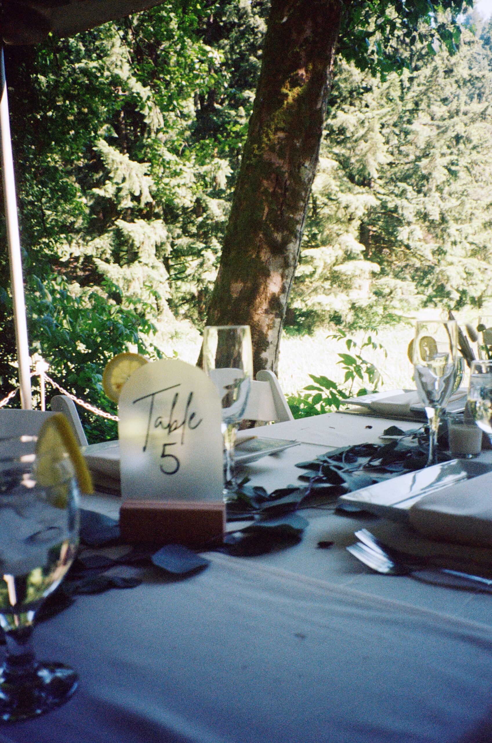 wedding table set up with place settings for wedding tables. Film photography for weddings and engagements