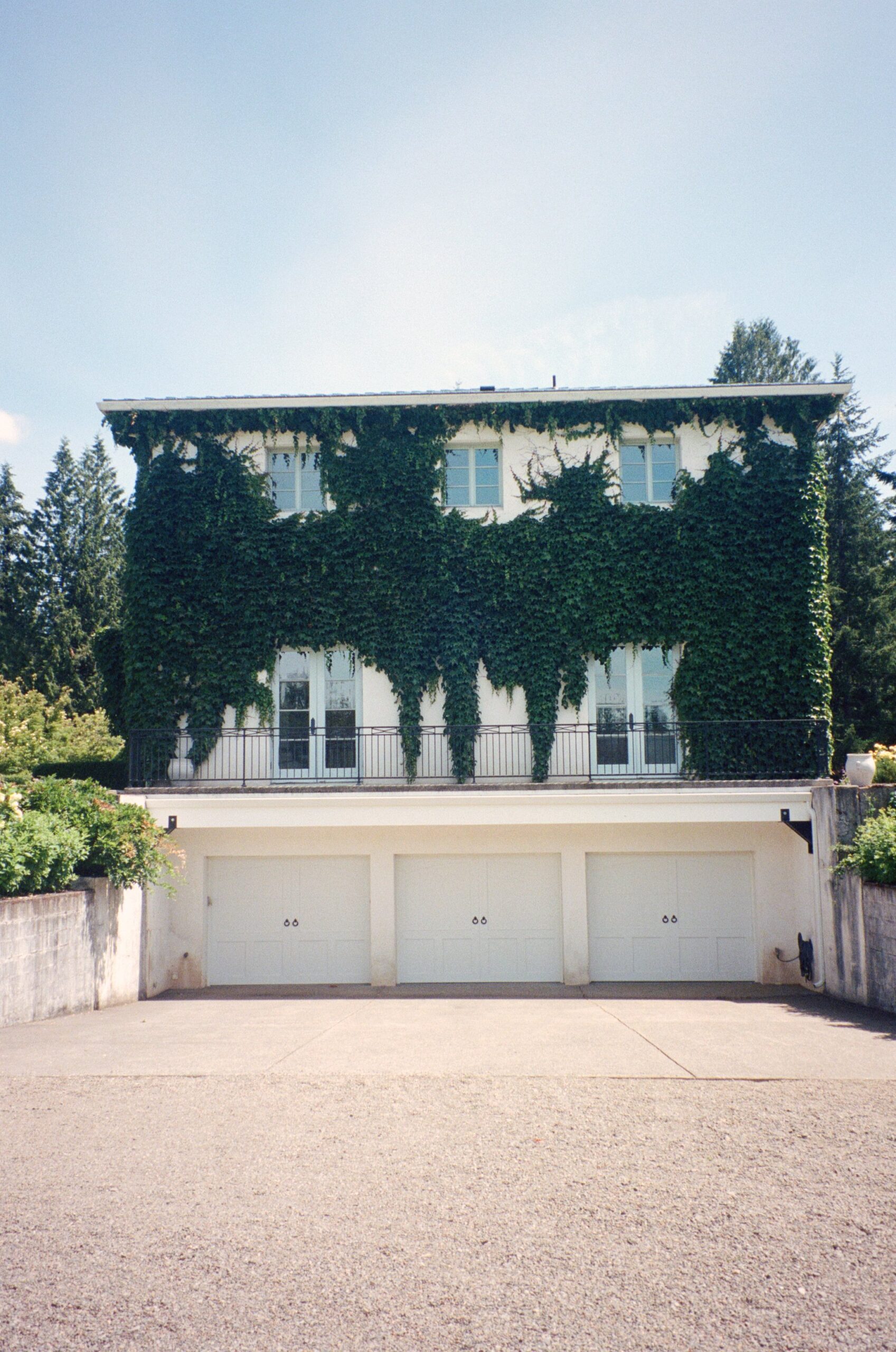 wedding venue building with large vine plants growing along building. Oregon film photography for weddings and engagements